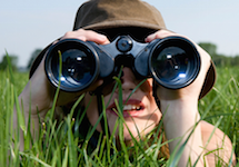 Job search online Job search online